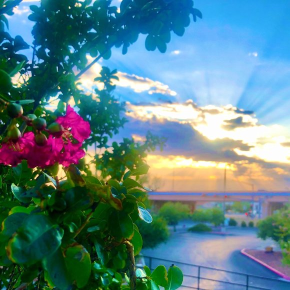 Meet your Posher, Dee - Picture 1 of 1